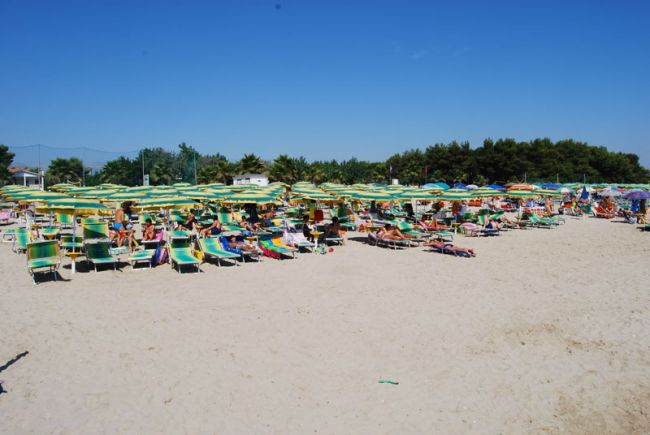 Spiaggia affollata con ombrelloni gialli e verdi.