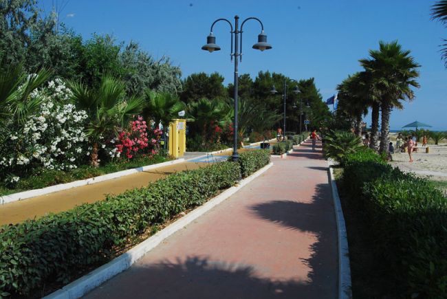 Passeggiata con fiori e palme lungo la spiaggia.