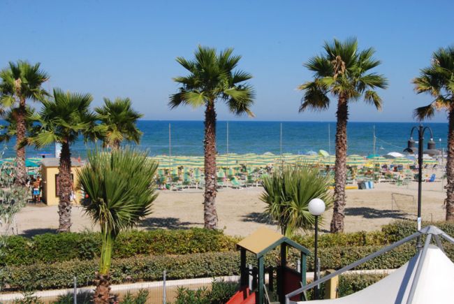 Palme e ombrelloni su una spiaggia soleggiata.