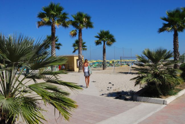 Palms and beach path under blue sky.