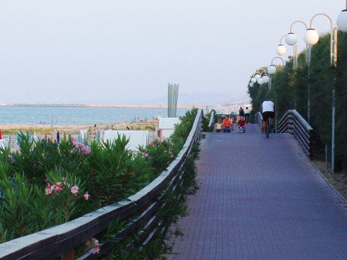 Pista ciclabile lungo una spiaggia con fiori.