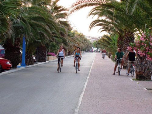 Viale alberato con palme, persone che pedalano su biciclette lungo strada e marciapiede.