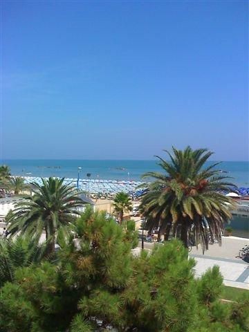 Vista di una spiaggia con palme e ombrelloni sotto un cielo blu.