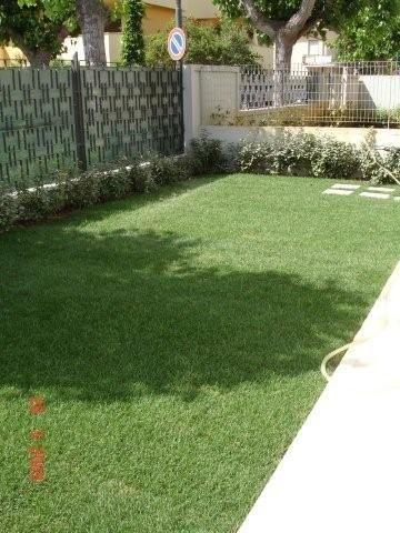 Giardino verde con prato curato, circondato da siepi e recinzioni.
