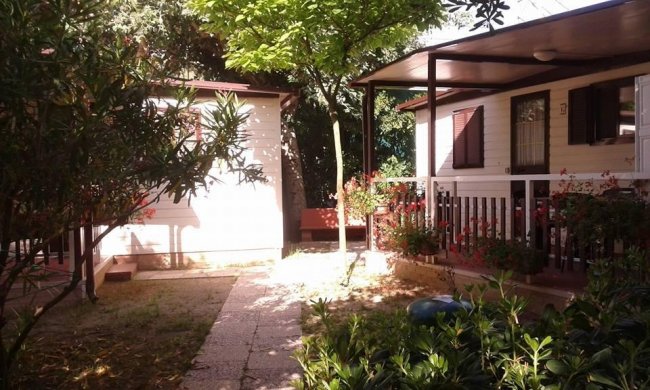 Casette in legno circondate da alberi e cespugli.